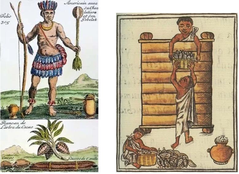 科普巧克力的故事,有关巧克力的知识