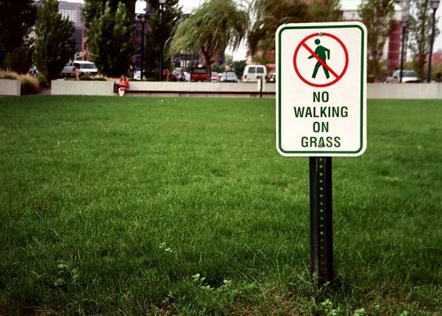 草坪冬季维护技术,冬季草坪铺设养护