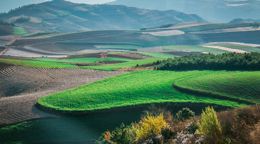 这3大生肖的人最招财天生权贵命,本月这三个生肖好运来袭飞黄腾达