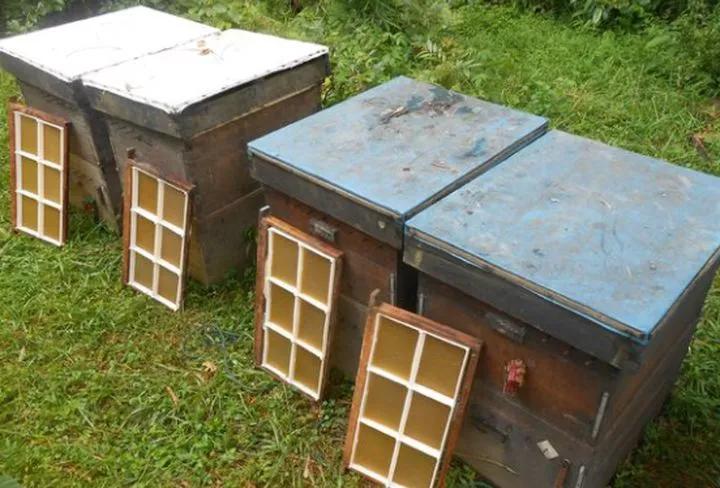 蜂巢蜜真的不能作假吗,蜂巢蜜为什么有贵的有便宜的