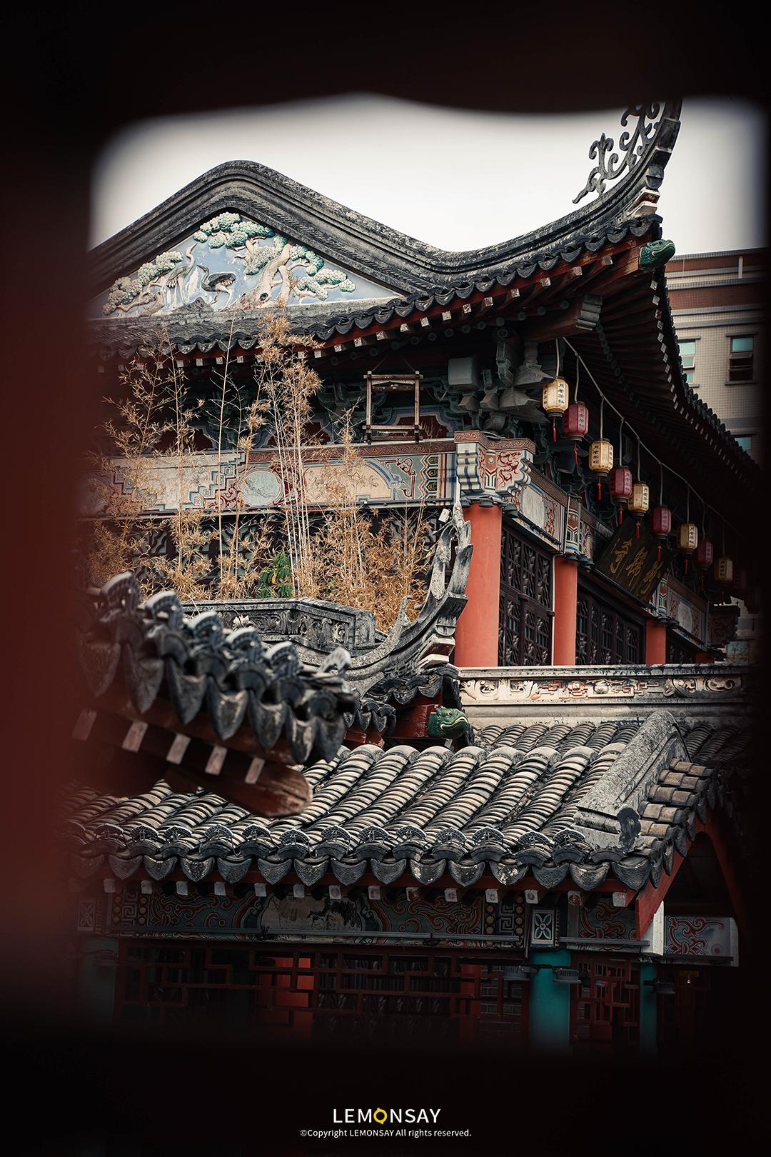 沙井的蚝,沙井为什么这么多蚝