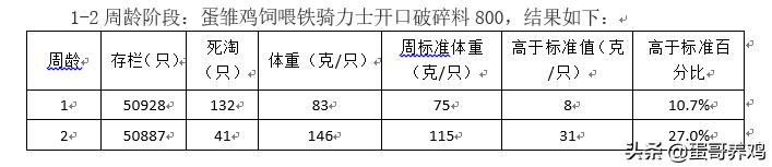 鸡场养雏鸡怎么增加体重,雏鸡怎么管理最健康