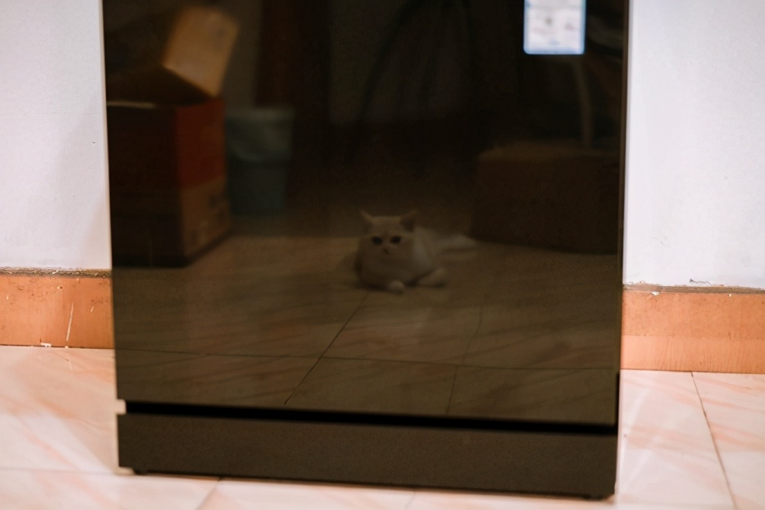 分区洗10套洗碗机,海尔晶彩迭代和晶彩系列