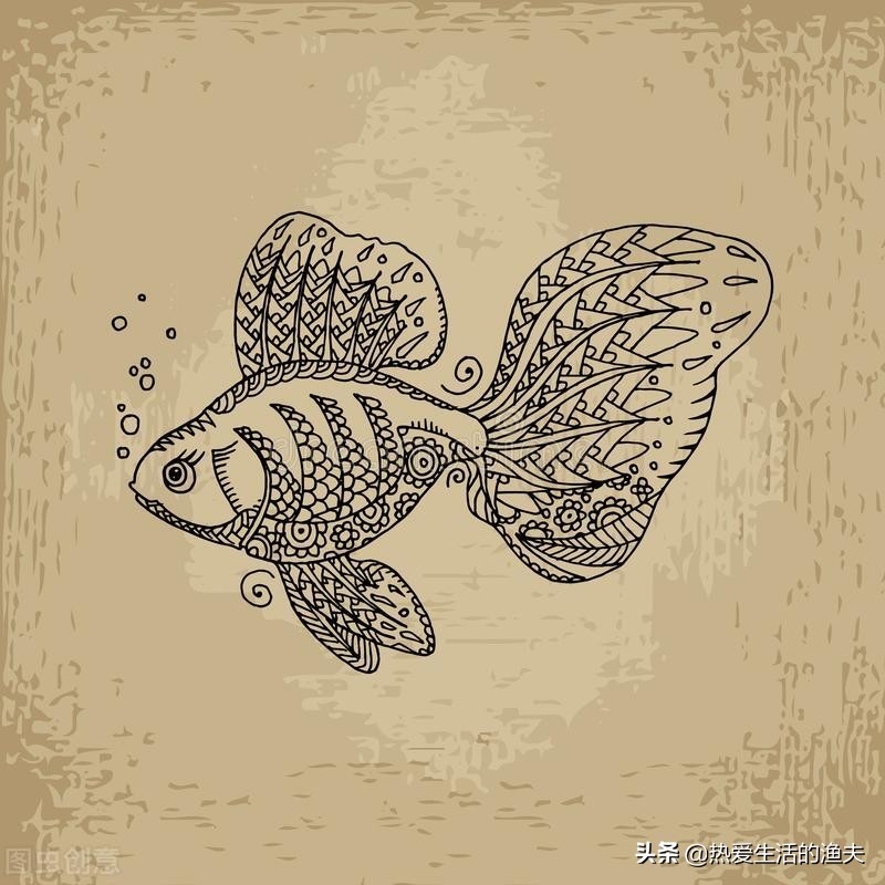 草金鱼长时间不喂食会饿死吗,草金鱼不喂食会不会饿死