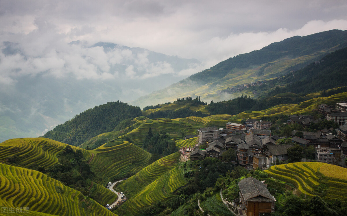 广西桉树真的要清除吗,广西的桉树