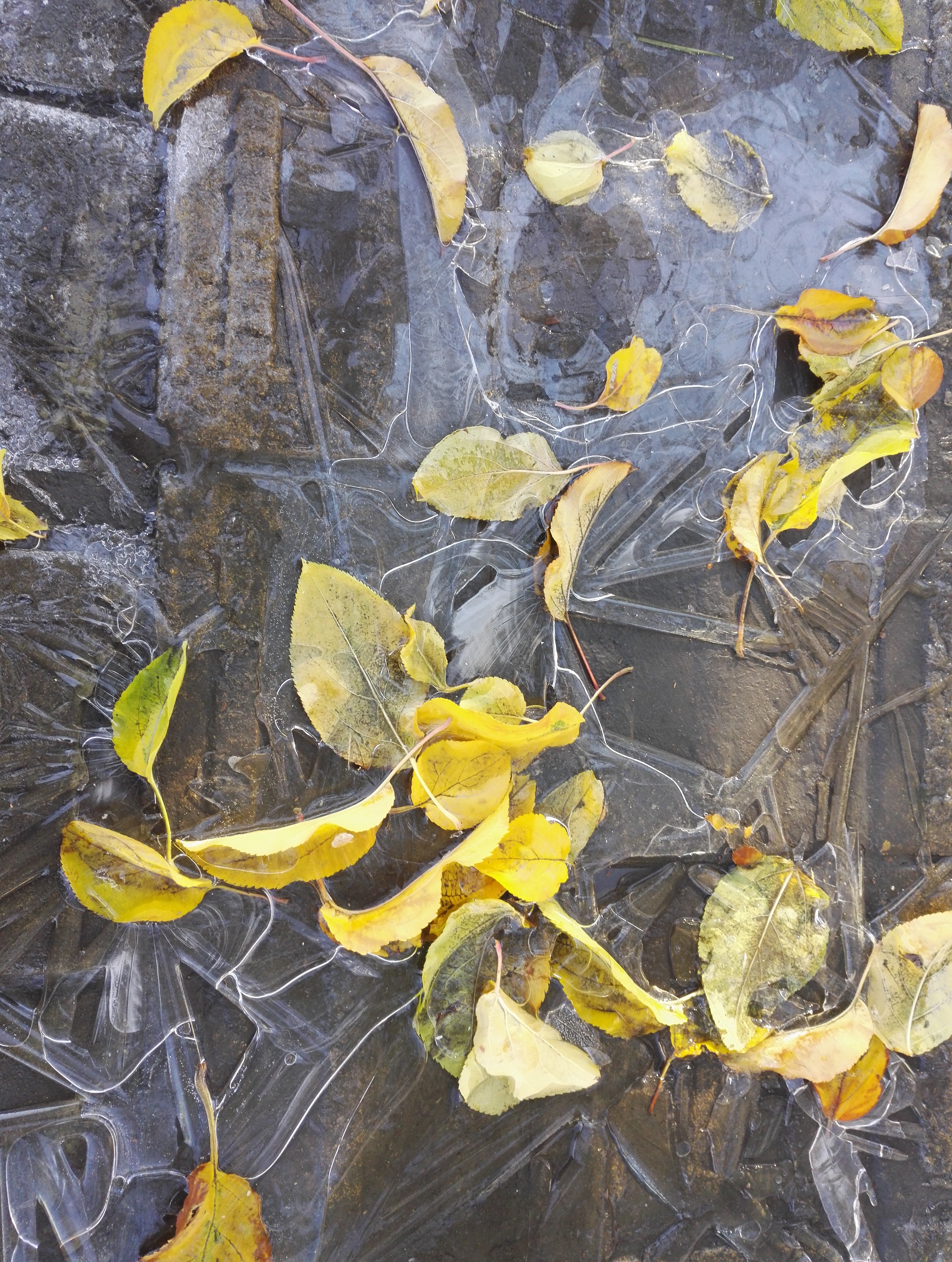 童书出版妈妈幸福教师培训感想