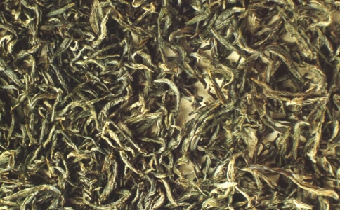 景宁惠明茶,景宁惠明的茶叶