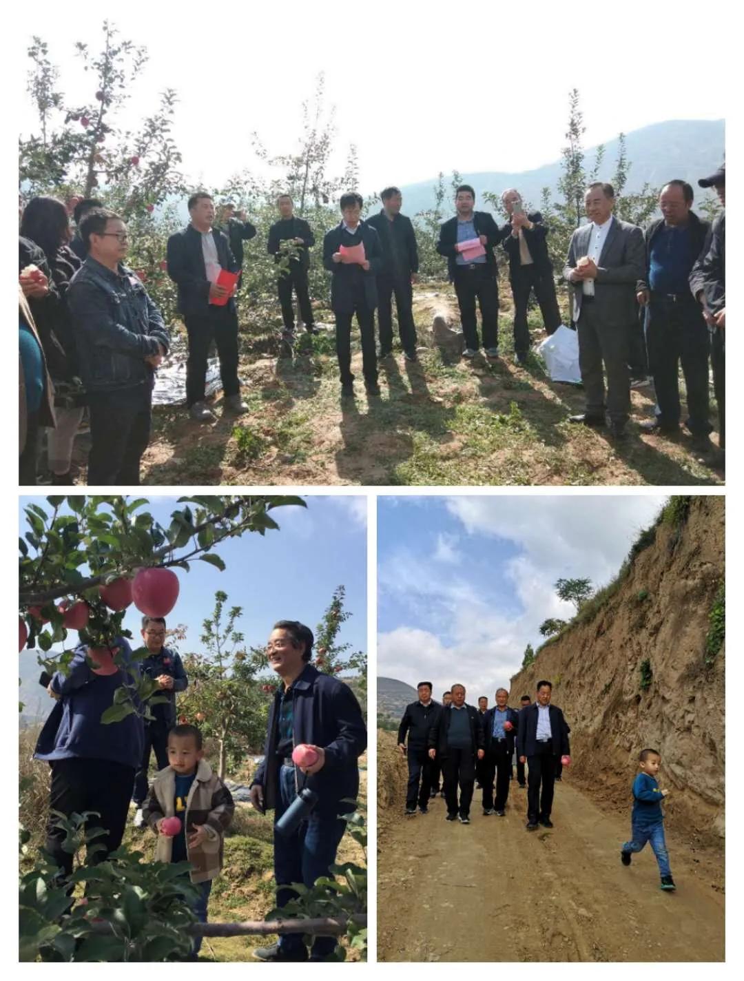 省诗歌创研会武山采风作品集（一）