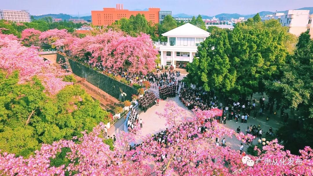 我是真的热啊,从化的天气有多冷