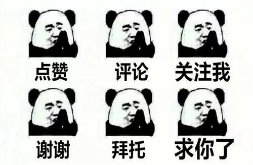 母猪产后护理需要做哪些工作？这13个工作，样样不能忽视