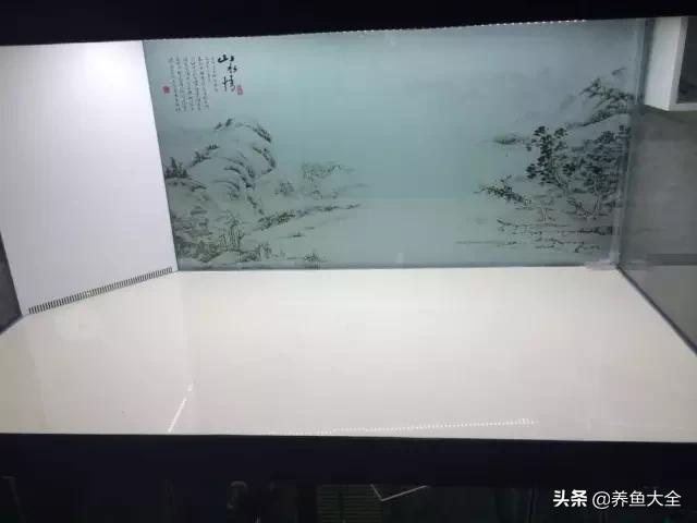 怎么样才可以做个美丽的鱼缸,给自己一个完美解释