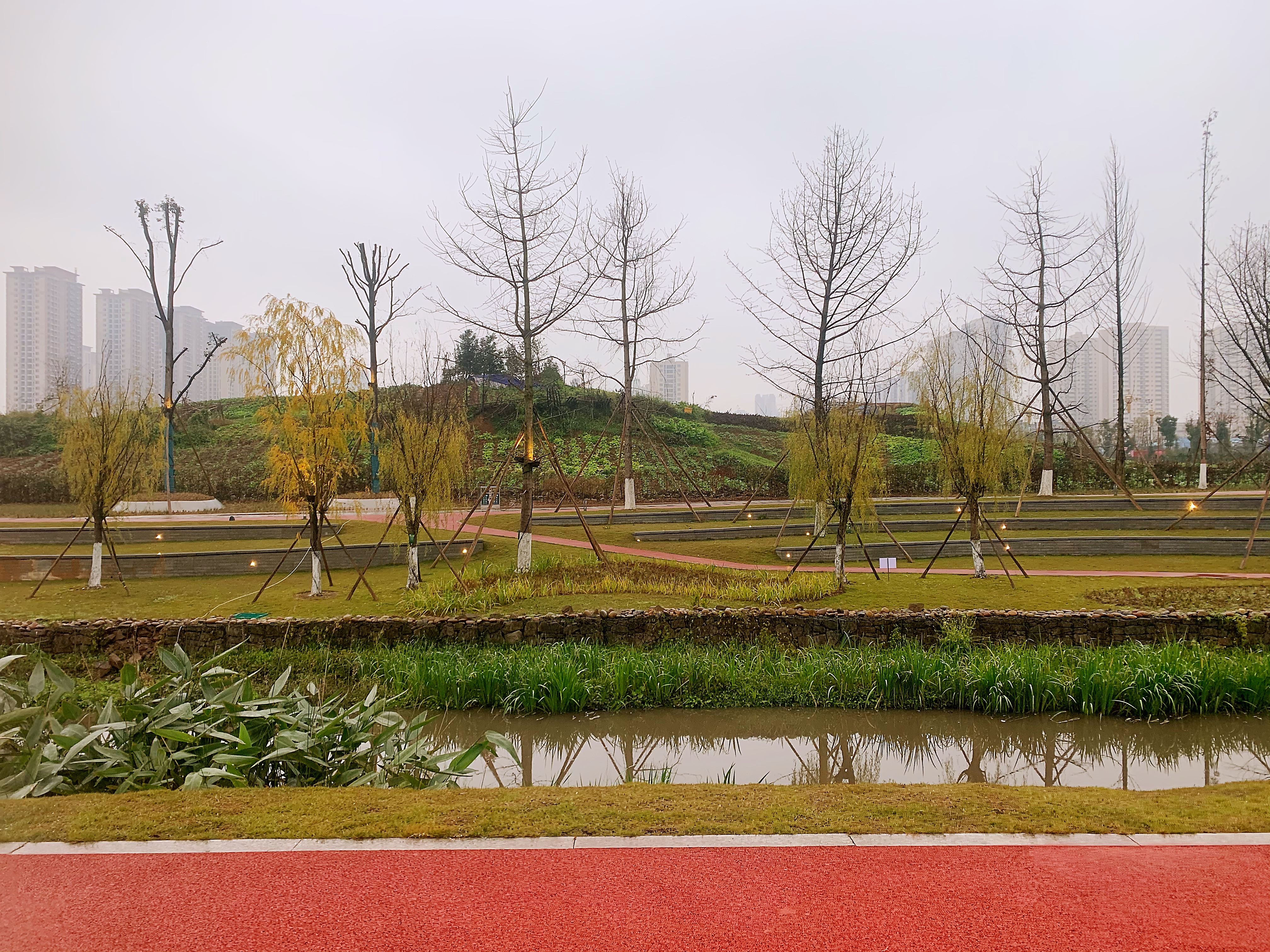 双福山水湖城,江津双福中央公园效果图