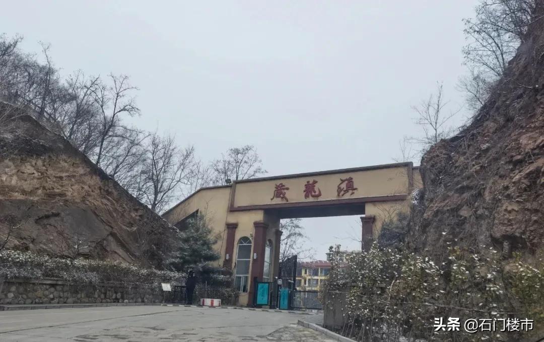 实探现场,实探日本果园