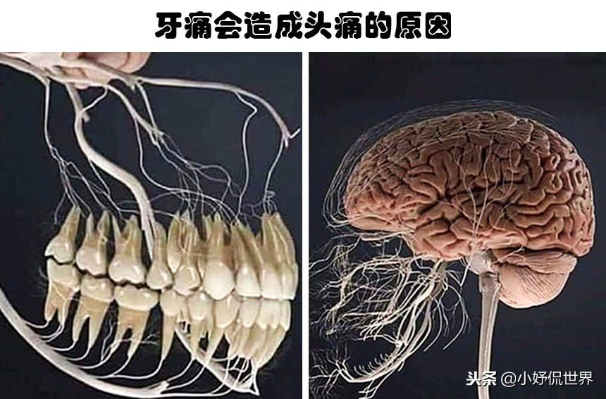 教科书照片与现实照片,教科书图片里的人