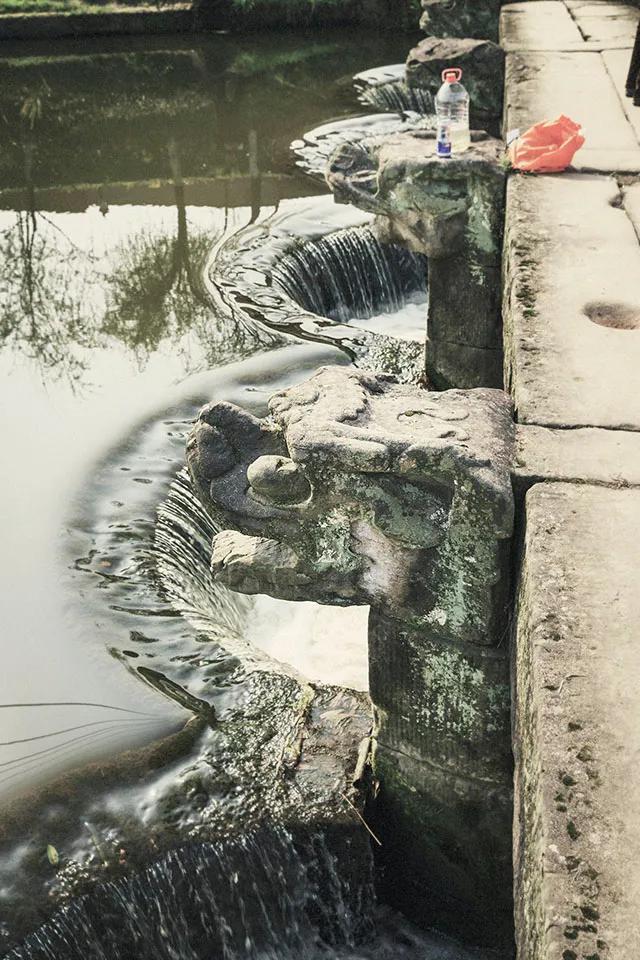 你知道么？九龙坡最好看的几座桥都在同一条大溪河上