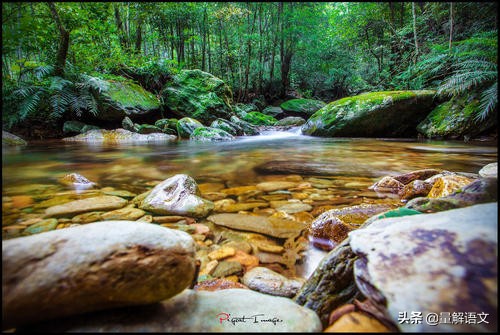 小石潭记对比阅读中考题及答案,小石潭记中考