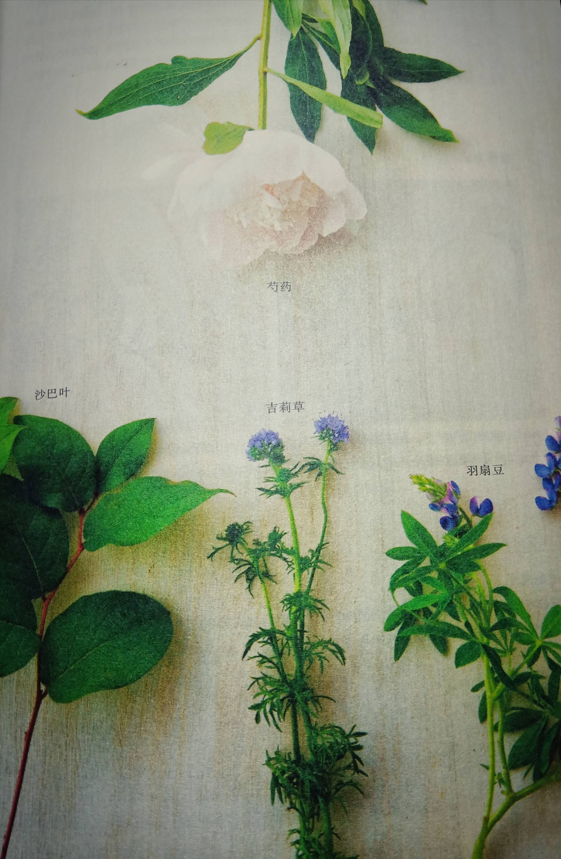 从地产销售到知名花艺师，是热爱，是坚持，也是花束的独特绽放