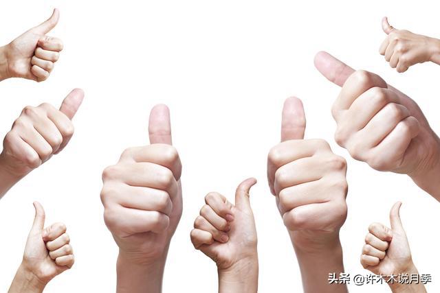 如何买到正版欧月？月季购买防骗手册，几招鉴定欧月，拒绝小白花