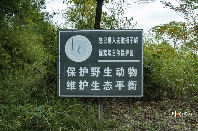 周末自驾游安徽郎溪,门票只花了30块,其它都是原生态秘境