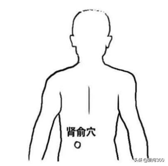 点腰部的什么穴位说明有腰肌劳损,腰肌劳损按什么穴位最好