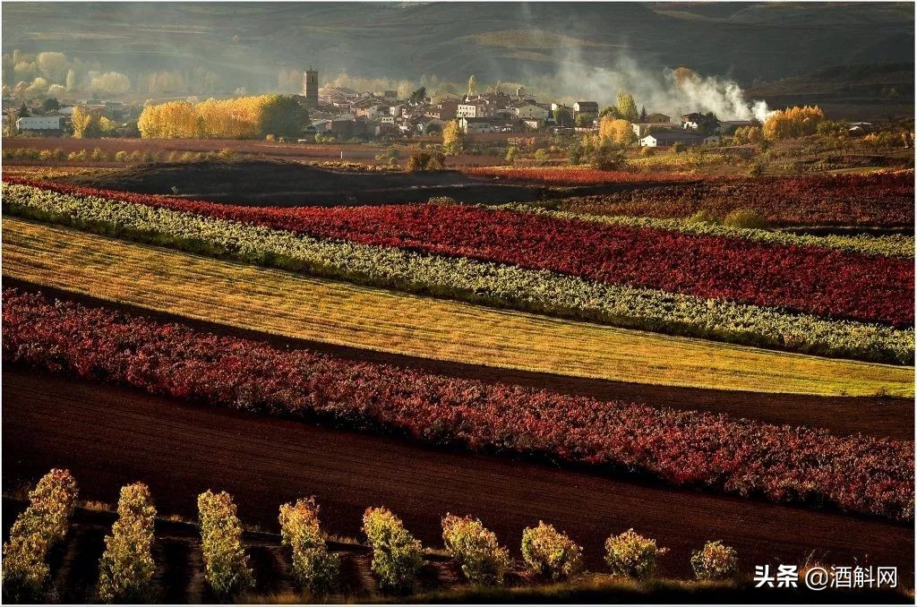 探秘西班牙里奥哈葡萄酒,天下谁人不识君答案