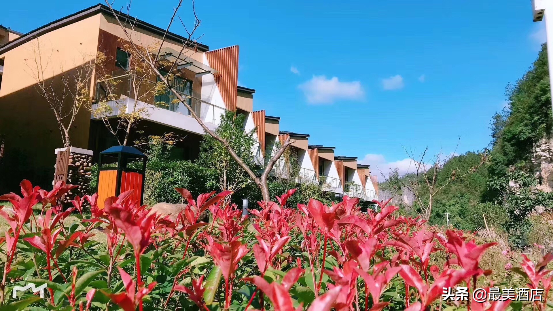 住友酒店集团团购,住友酒店旗下高端品牌