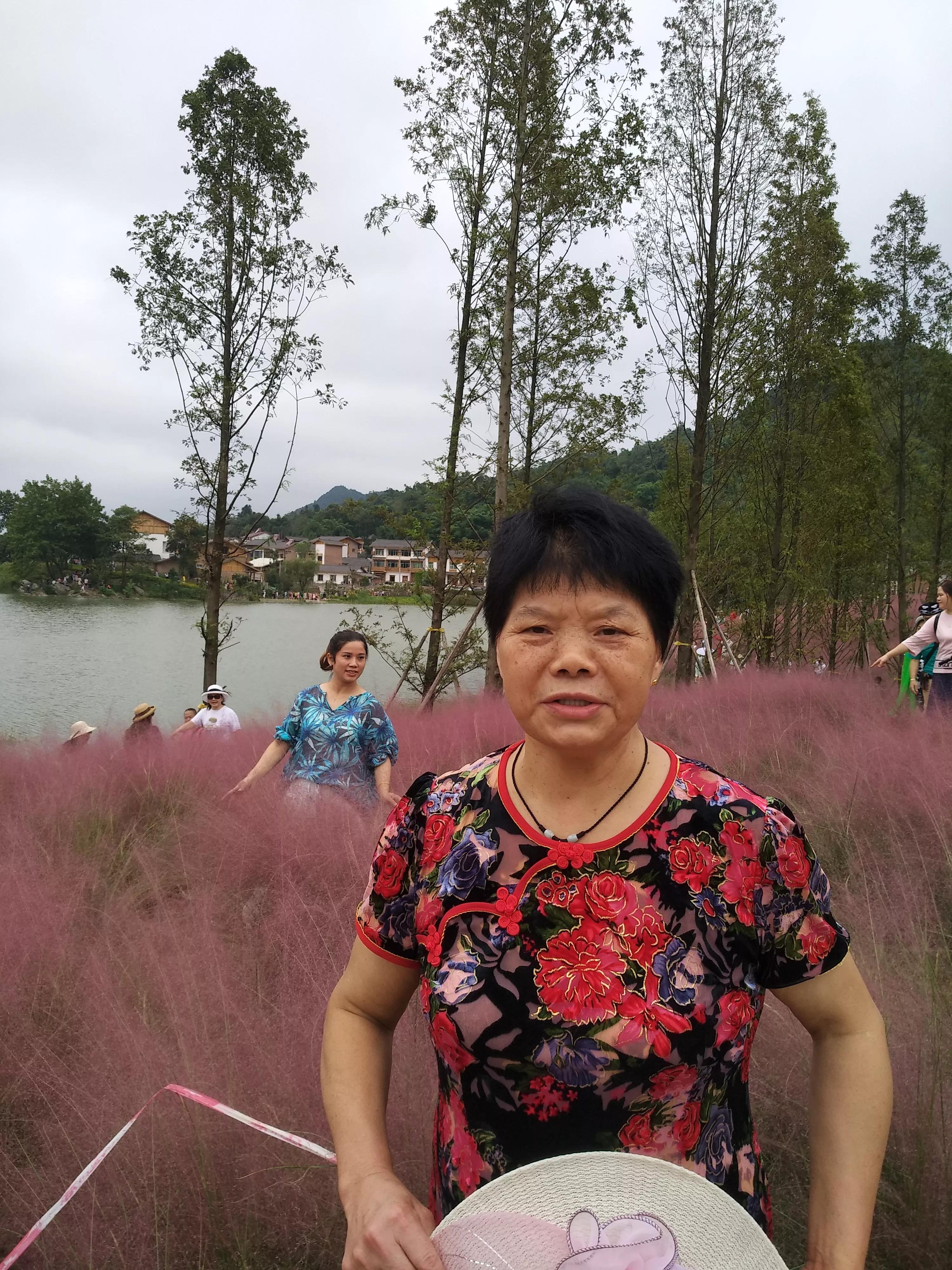 斐然湖和荷塘月色哪个好玩,中梁镇斐然湖公园最近动态