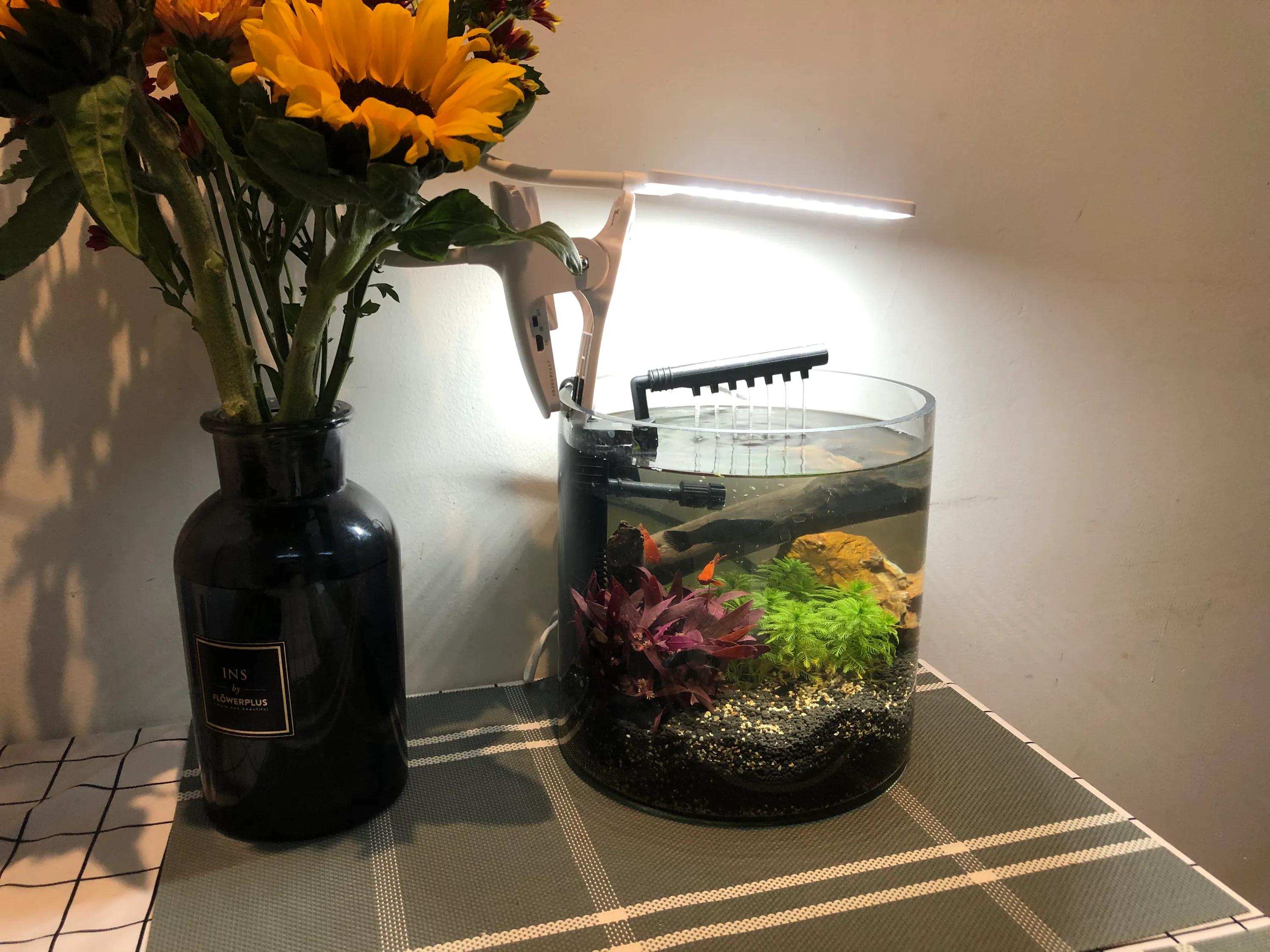 考研必备考点,考研知识点学不明白怎么办