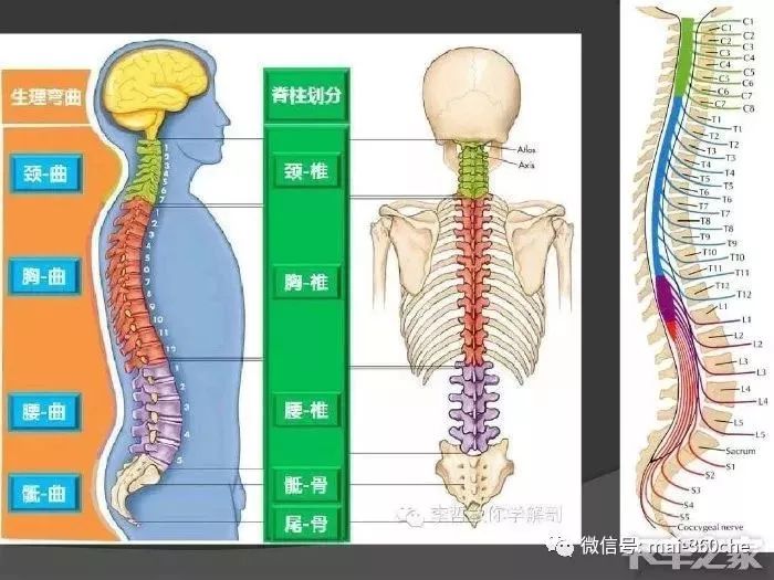 防止屁屁变黑的坐垫,能让屁屁翘的坐垫