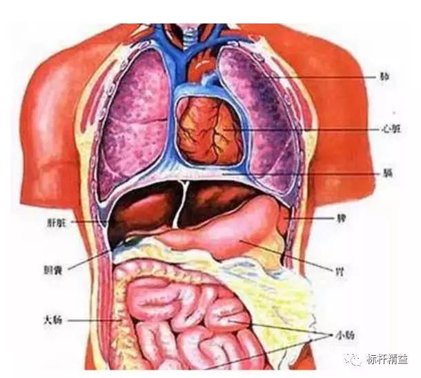 十日谈流程管理思维,做管理一定要具备流程思维