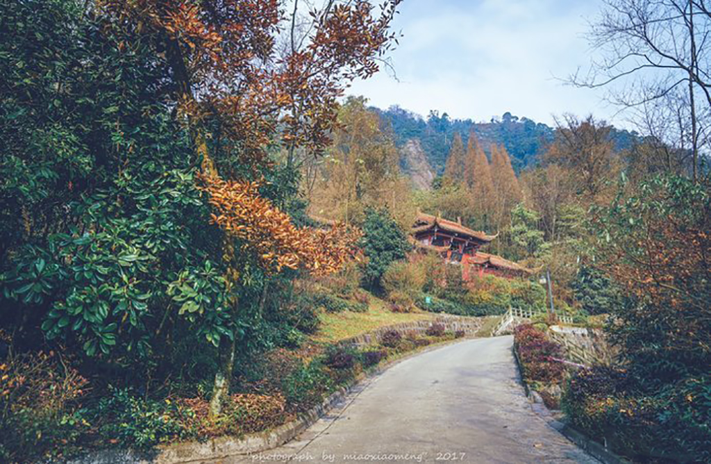 隐于成都闹市的小众古刹,成都最值得去的古寺