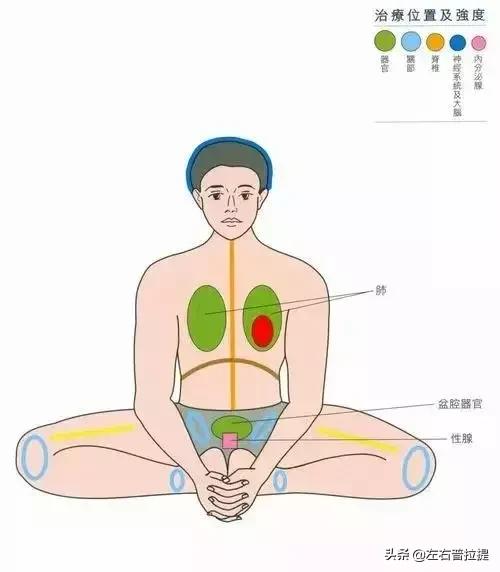 每天练习这个体式，保养子宫，清除体内垃圾，年轻10岁