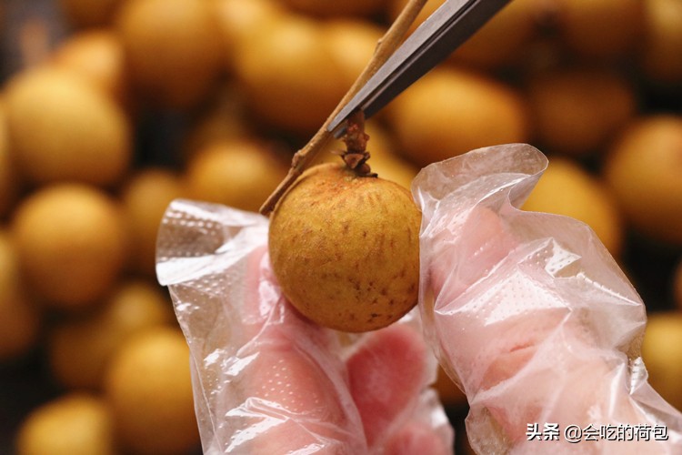 9月,遇上桂圆别手软,多买些蒸好后再晒一晒,过阵子就少了