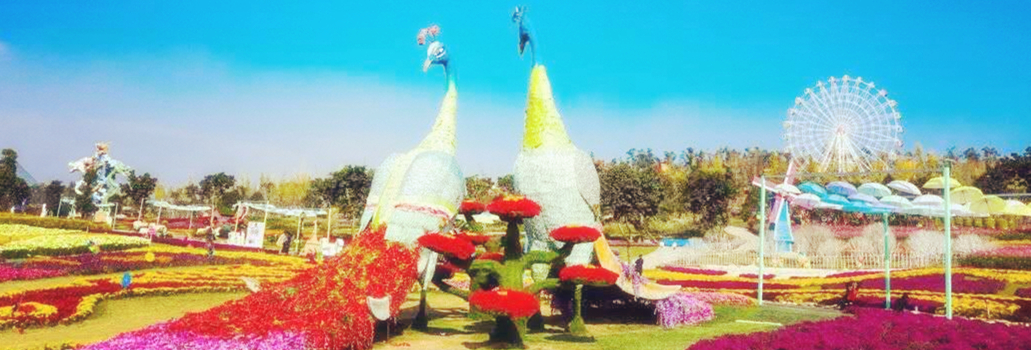 成都向西看最高的山,成都最高的山峰