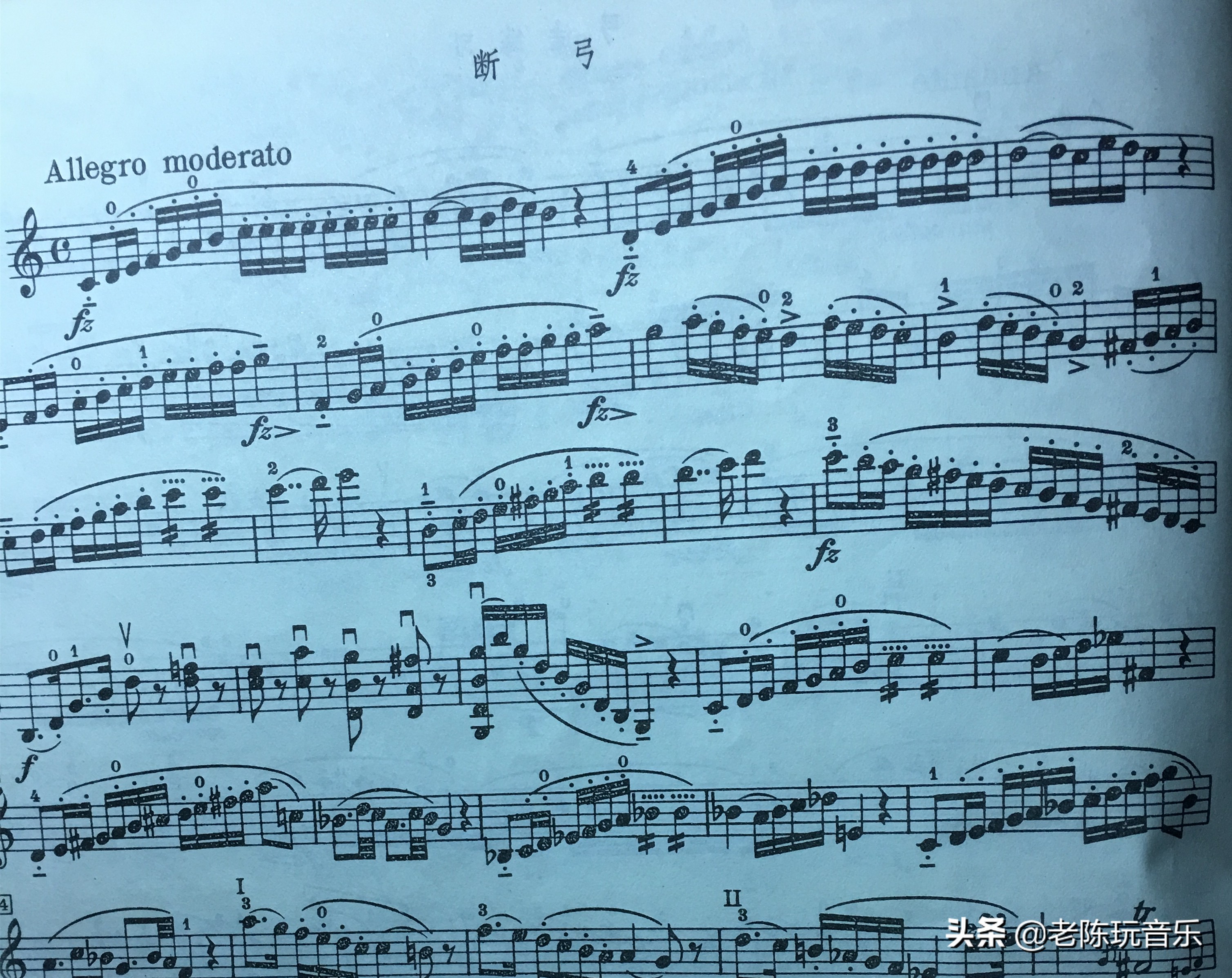 小提琴常用弓法大全让你看个够,舍夫契克小提琴弓法练习详解