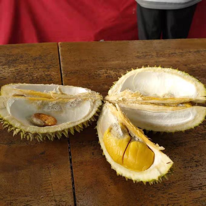 2000块能去马来西亚吗,2000块穷游马来西亚