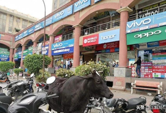 印度国内互联网格局变化,印度互联网未来潜力