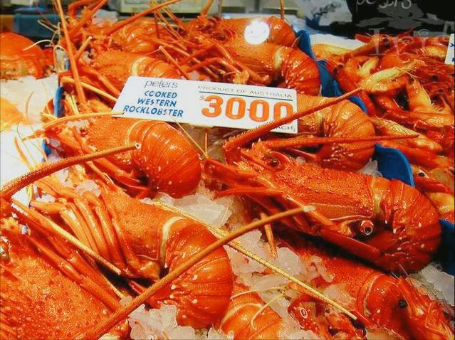 WTO审查中国贸易政策，澳洲美国联合卖惨，控诉遭到“经济胁迫”