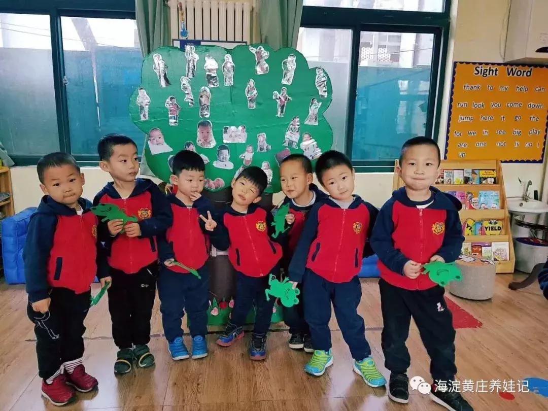 北京海淀2022幼儿园信息采集,2020年海淀区幼儿园信息采集