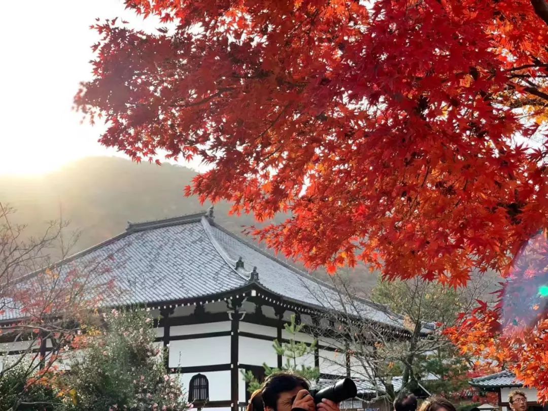 岚山哪有好玩的,日照岚山区值得去吗