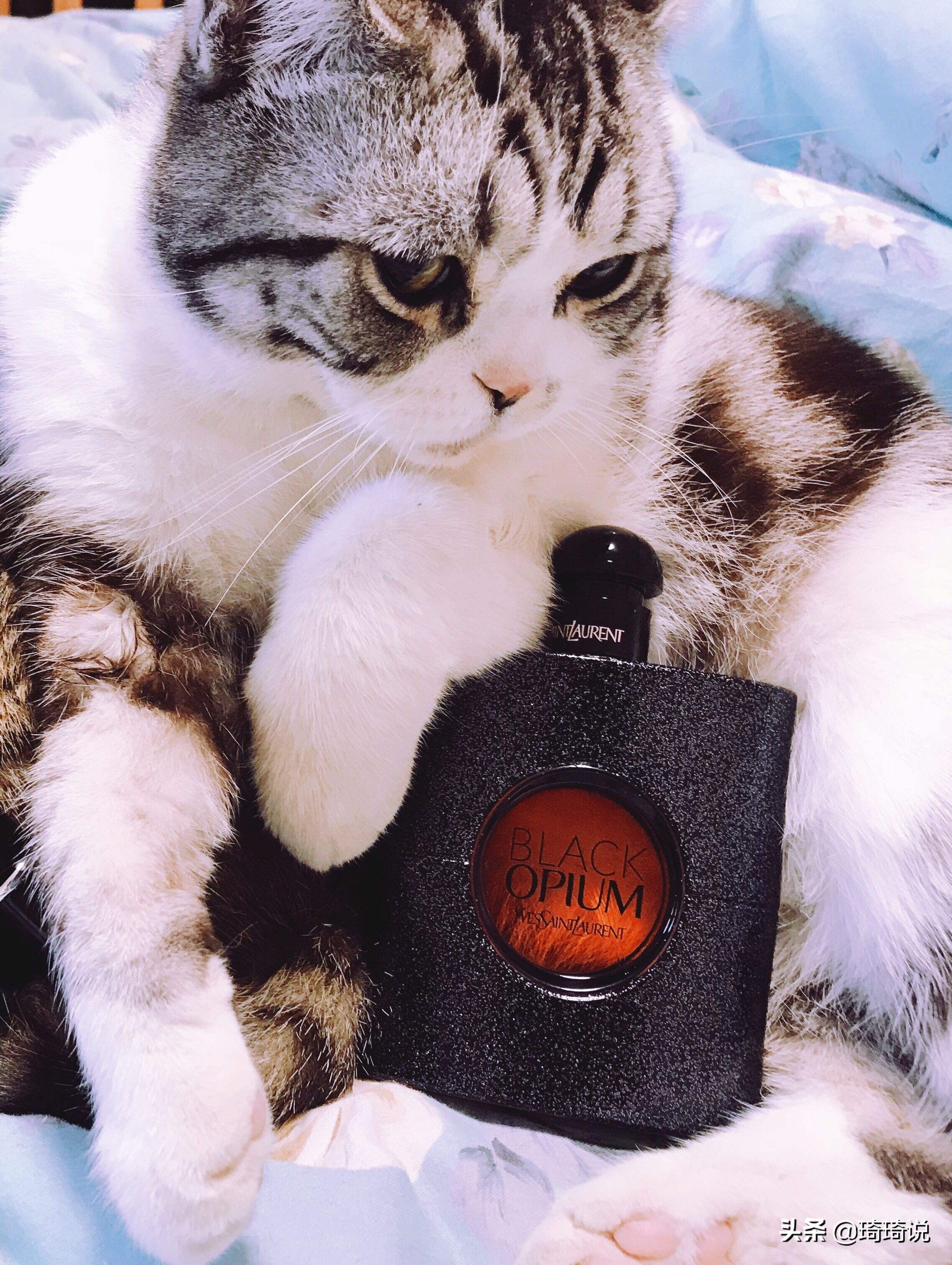 你用了哪一款香水，它也是精致女人的代表