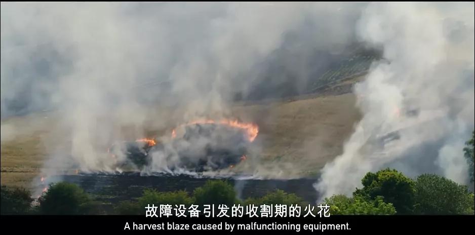 豆瓣9.6，这个“英国版李子柒”承包了我本月的笑点