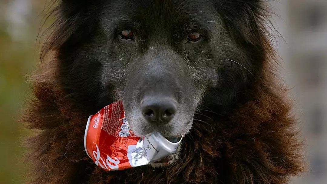 first青年电影展vlog,first青年电影展年度影像