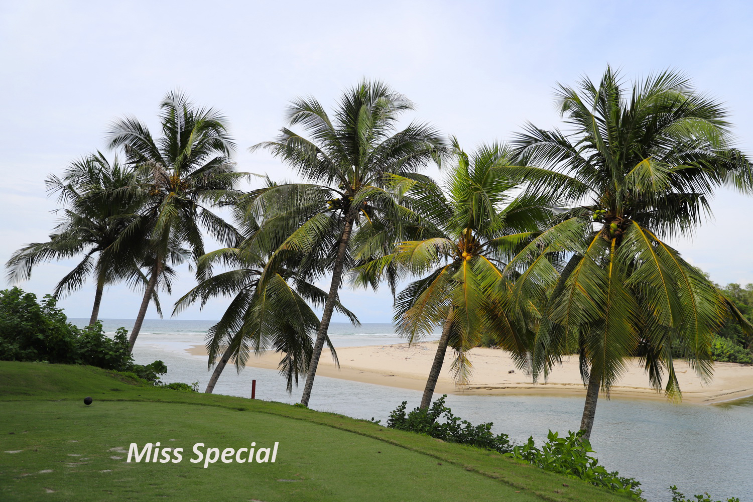 品味马来风味感受异域风土人情,马来西亚体验水果自由