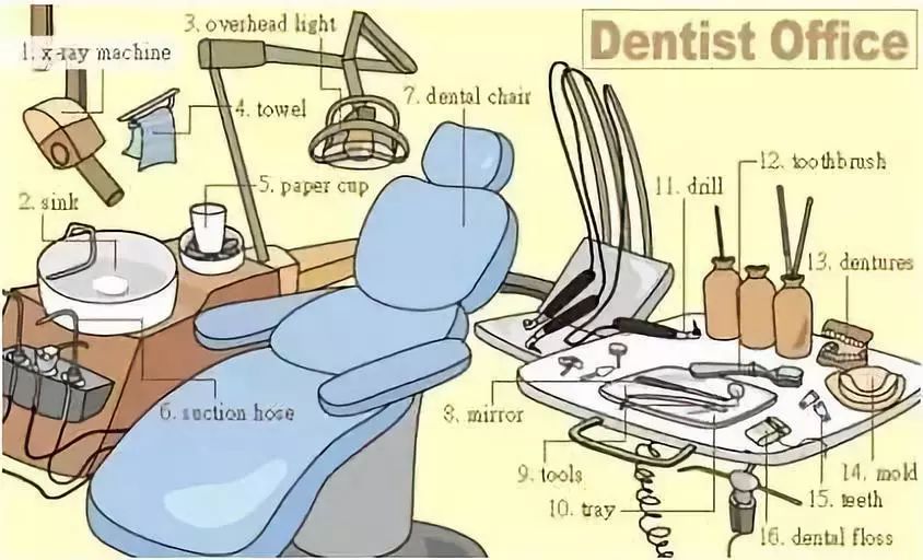 25张图让你记住中学英语所有生活用词（下）