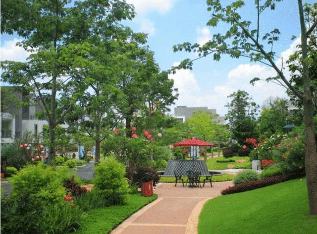 小池旅行怎么去,小池游玩附近推荐