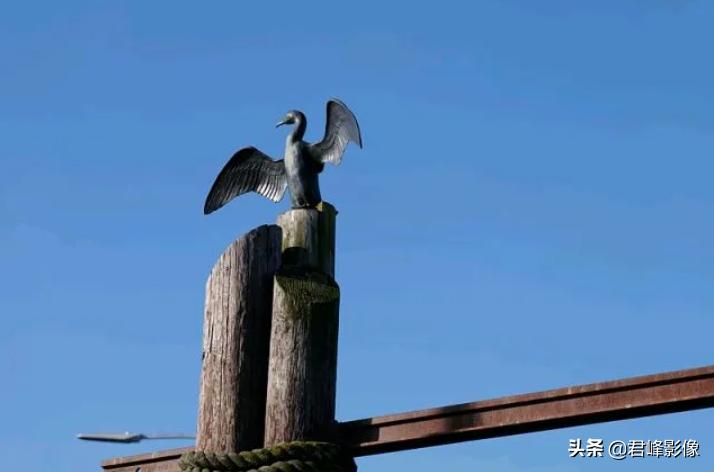 徕卡sl相机视频,徕卡sl最新款