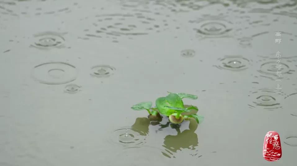 邮之信，不死必达