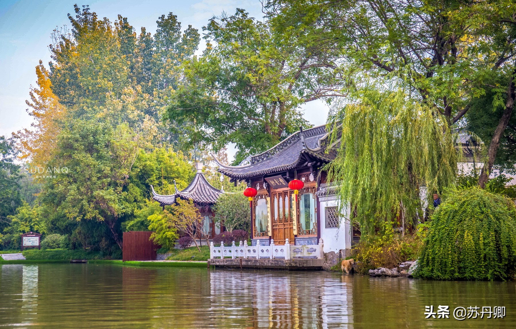 瘦西湖为什么出名,瘦西湖为什么值得游玩