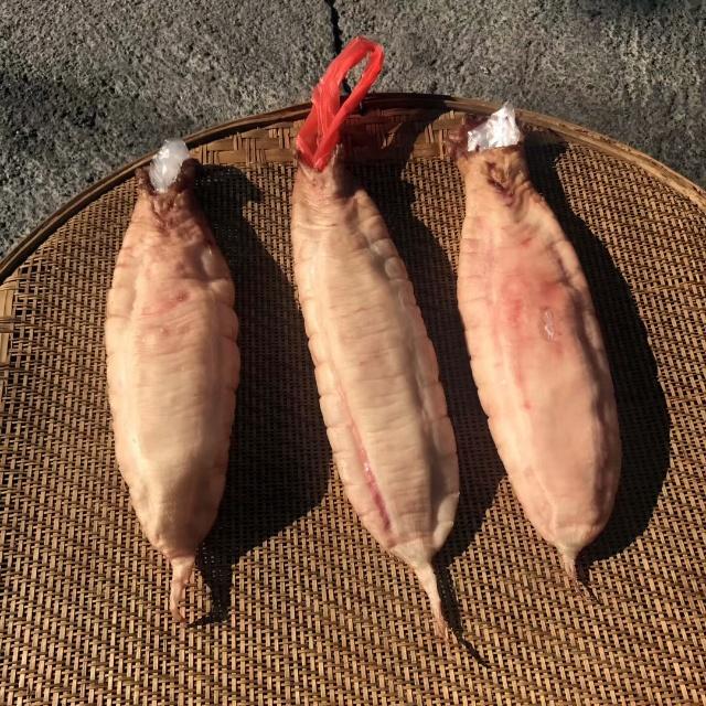 花胶的选购方法教你选择优质花胶,花胶怎么挑选好用